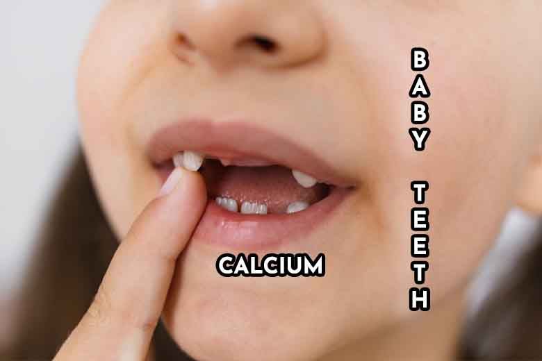 Baby Teeth Development: The Power of Calcium (Yakında Türkçe)